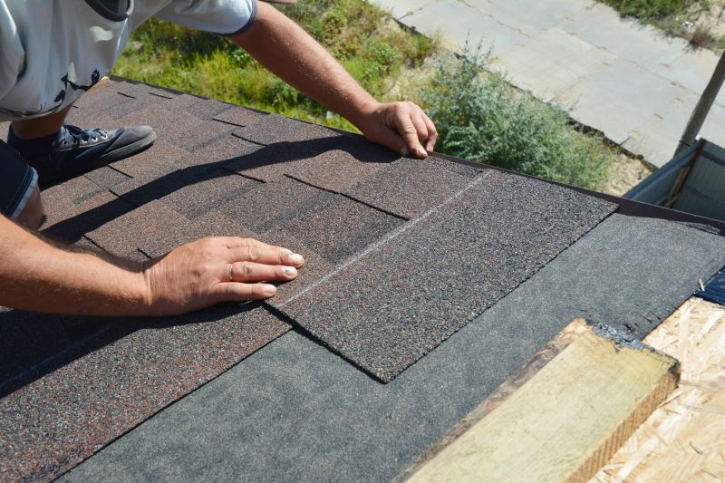 Professional Asphalt Roof Repair 4